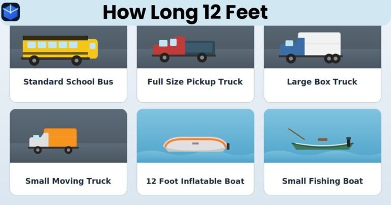 18 Familiar Things That Measure About 12 Feet long